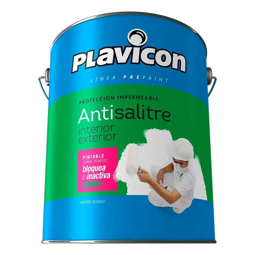 Antisalitre Interior Exterior Plavicon